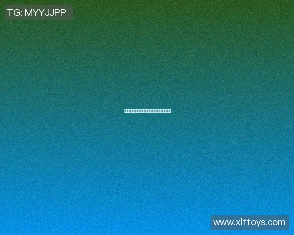 保定明星篮球队崛起之路探索与发展新篇章